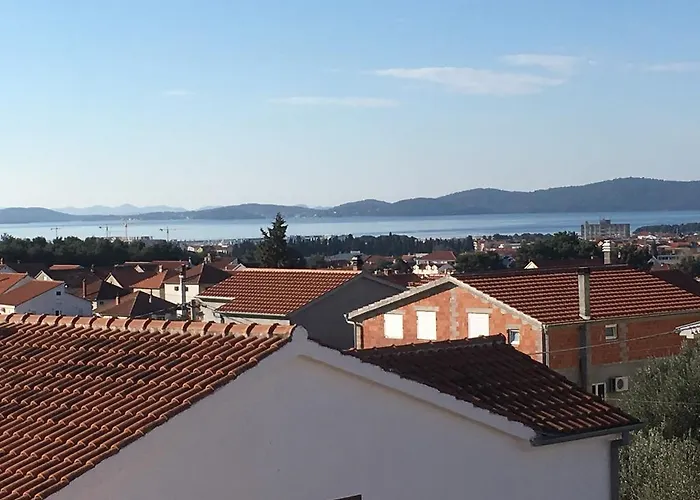 Niko * Zadar